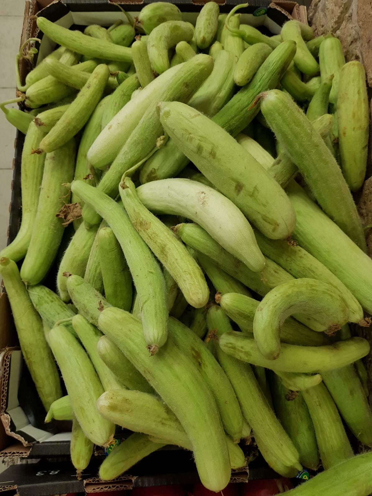 WhatsApp Image 2020-04-19 at 7.02.42 PM.jpeg.jpeg